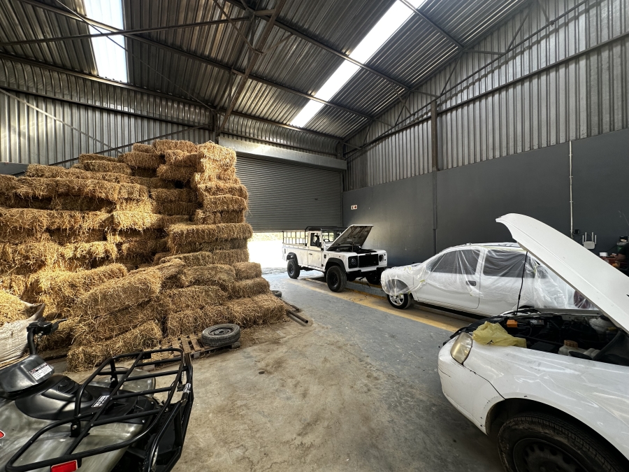 To Let Commercial Property for Rent in Wilsonia Eastern Cape